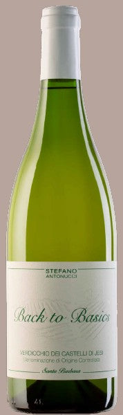 BACK TO BASIC BIO VERDICCHIO CASTELLI JESI DOC Antonucci