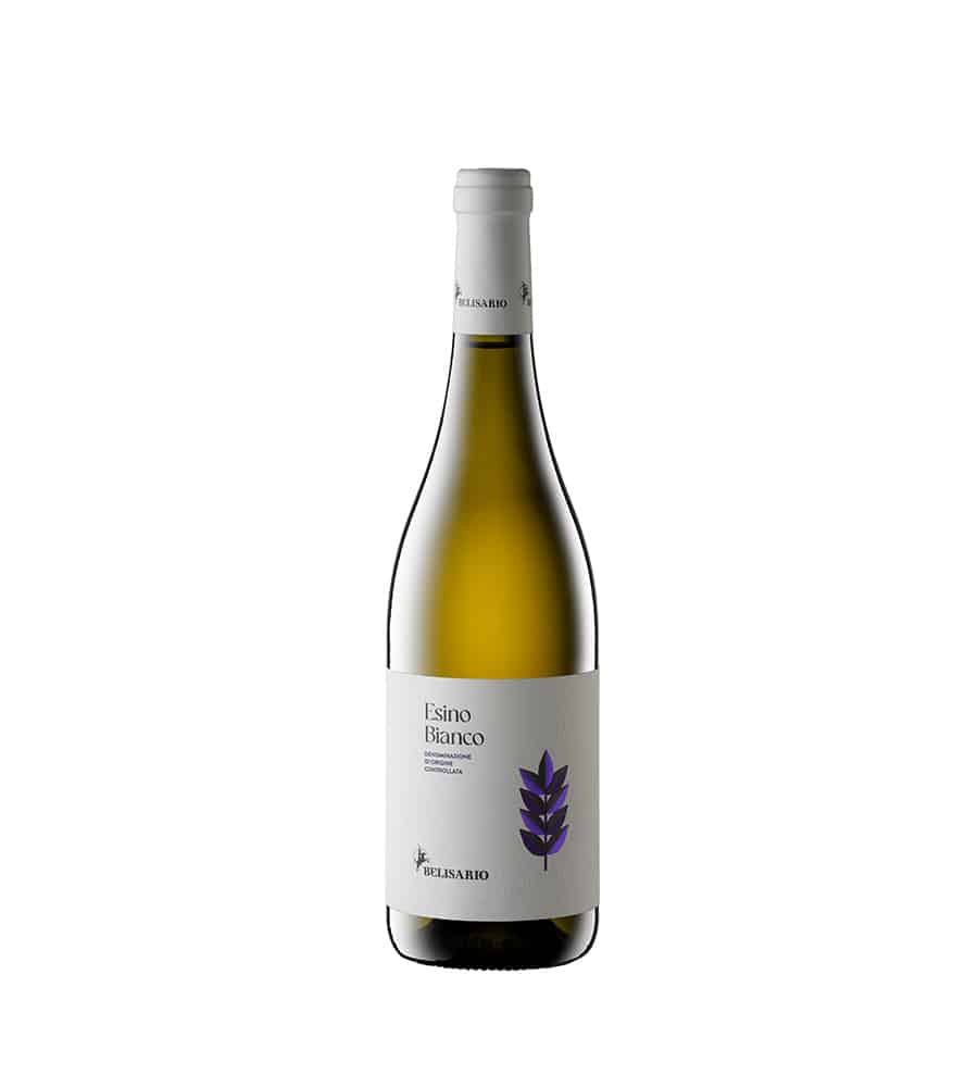 ESINO BIANCO DOC BELISARIO 2023 CL 75