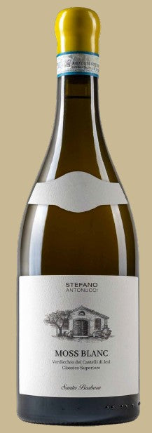 MOSS BLANC VERDICCHIO CASTELLI JESI DOC CLASSICO SUPERIORE CL 150