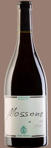 MOSSONE MARCHE MERLOT IGT Cl 150 Antonucci