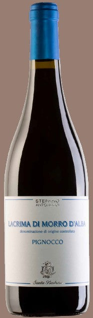 PIGNOCCO LACRIMA MORRO D'ALBA Cl 75 Antonucci