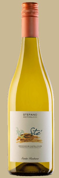 STE' VERDICCHIO CASTELLI JESI DOC STELVIN CL 37,5