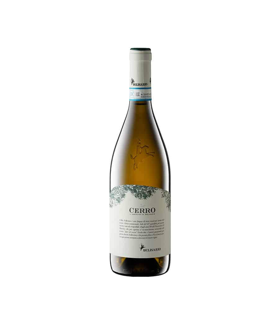 BELISARIO - VERDICCHIO DI MATELICA DOC DEL CERRO 2023 CL 75