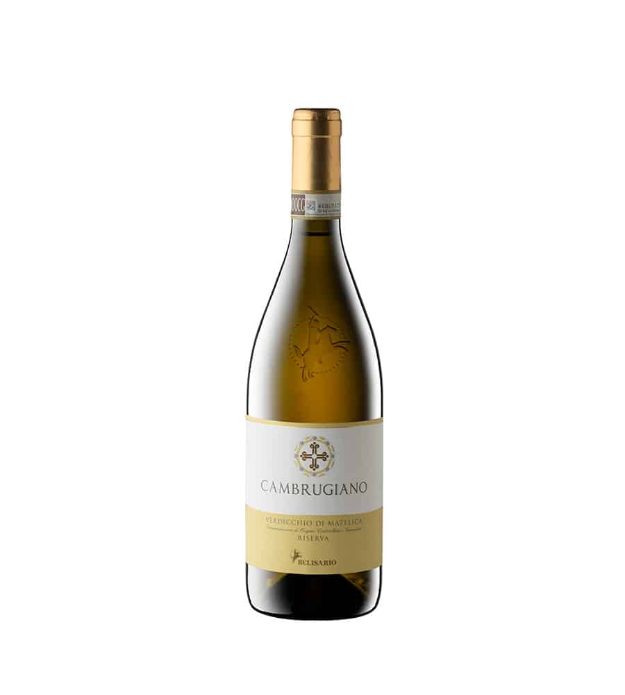 VERDICCHIO DI MATELICA RISERVA DOCG CAMBRUGIANO 2021 CL 300