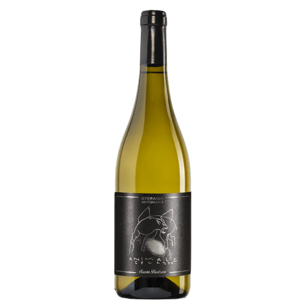 Sauvignon Blanc Italiano Animale Celeste - Cl 75 Vino Bianco Aromatico Marche