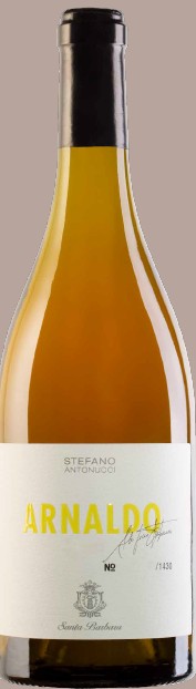 Orange Wine Verdicchio Biologico Arnaldo - Vino Naturale Italiano DOC