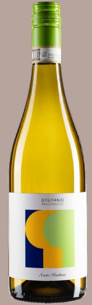 PECORINO OFFIDA DOCG STELVIN BIO Cl 75