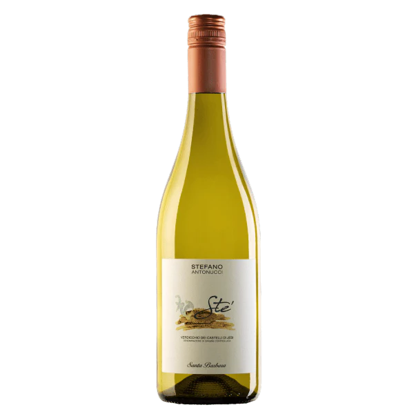 STE' VERDICCHIO CASTELLI JESI DOC STELVIN CL 37,5