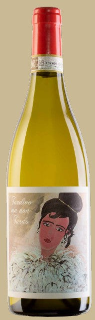TARDIVO MA NON TARDO CASTELLI JESI CLASSICO RISERVA DOCG CL 75