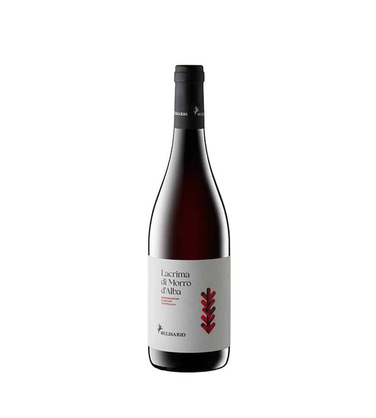 Santa Barbara - Pignocco 2023 - Lacrima di Morro d'Alba DOC - 75cl